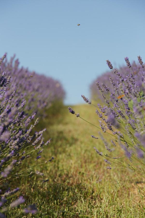 Grandono Agriturismo In Maremma سكانسانو المظهر الخارجي الصورة